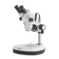 Microscope stéréo KERN OZM 542 LED avec fonction zoom