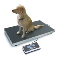 Tierwaage für Veterinäre KERN EOS 300K100XL