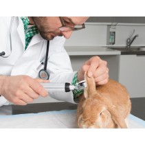 Kit de Otoscope vétérinaire HEINE BETA 200 LED VET